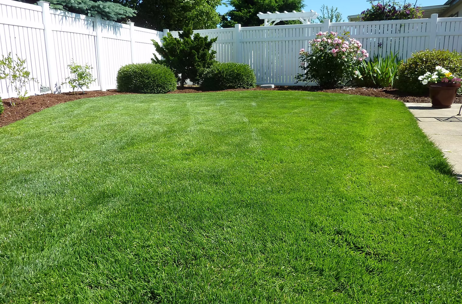 Hydroseeding creates beautiful grass