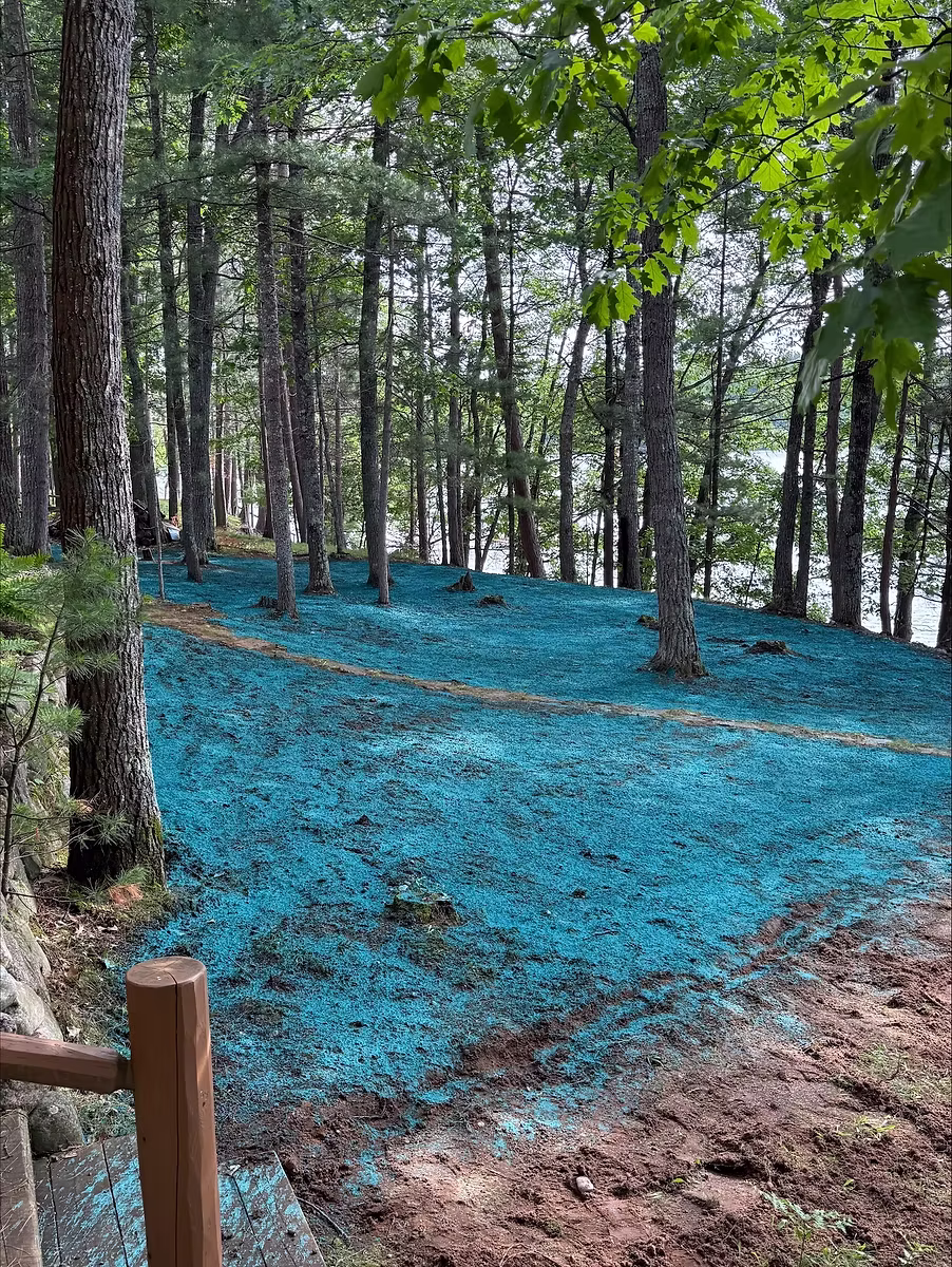 hydroseeding Northwoods Hydroseeding